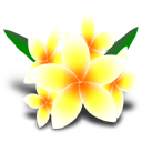 http://upforme.ru/uploads/0001/73/09/392/t561042.png