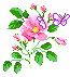 http://upforme.ru/uploads/0001/73/09/392/t64371.gif