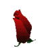http://upforme.ru/uploads/0001/73/09/392/t65929.gif