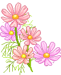 http://upforme.ru/uploads/0001/73/09/392/t690368.gif