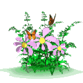http://upforme.ru/uploads/0001/73/09/392/t748948.gif