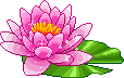 http://upforme.ru/uploads/0001/73/09/392/t821407.gif