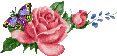 http://upforme.ru/uploads/0001/73/09/392/t825176.gif