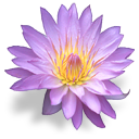 http://upforme.ru/uploads/0001/73/09/392/t890144.png