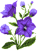http://upforme.ru/uploads/0001/73/09/392/t891664.gif