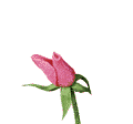 http://upforme.ru/uploads/0001/73/09/392/t902177.gif