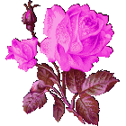 http://upforme.ru/uploads/0001/73/09/392/t988349.gif