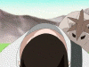 http://upforme.ru/uploads/0001/78/c1/74-4.gif