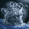 http://upforme.ru/uploads/0001/a4/f1/6042-3.gif