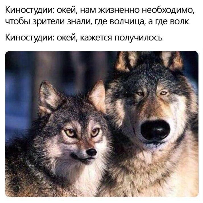 http://upforme.ru/uploads/0001/bf/9c/131/132744.jpg