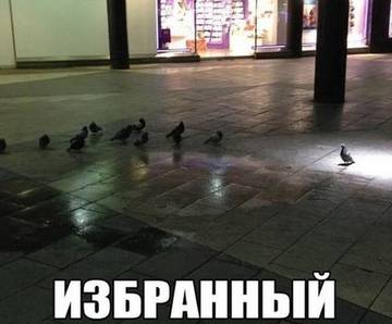 http://upforme.ru/uploads/0001/bf/9c/611/t196790.jpg