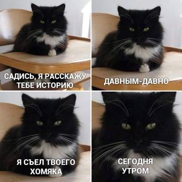 http://upforme.ru/uploads/0001/bf/9c/611/t228245.jpg
