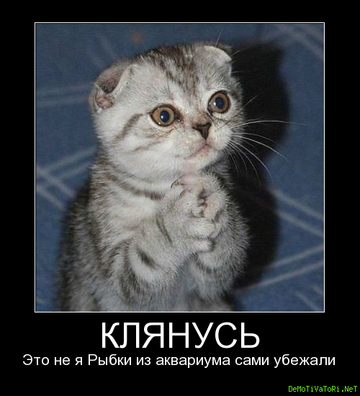 http://upforme.ru/uploads/0001/bf/9c/611/t579516.png