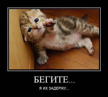 http://upforme.ru/uploads/0001/bf/9c/611/t723245.jpg