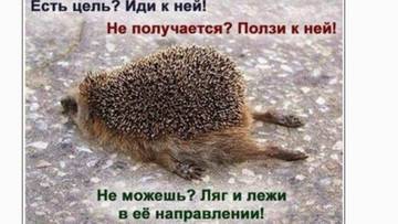 http://upforme.ru/uploads/0001/bf/9c/611/t856234.jpg