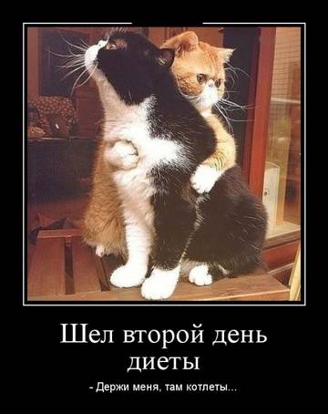 http://upforme.ru/uploads/0001/bf/9c/611/t887462.jpg