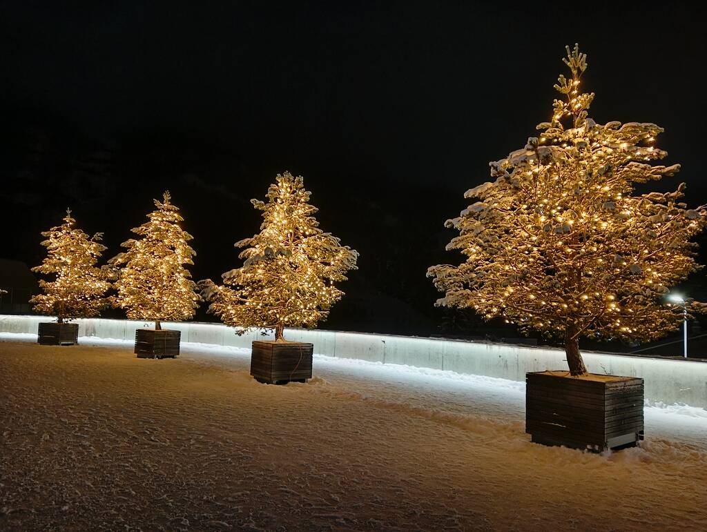 http://upforme.ru/uploads/0001/d0/60/1511/190459.jpg