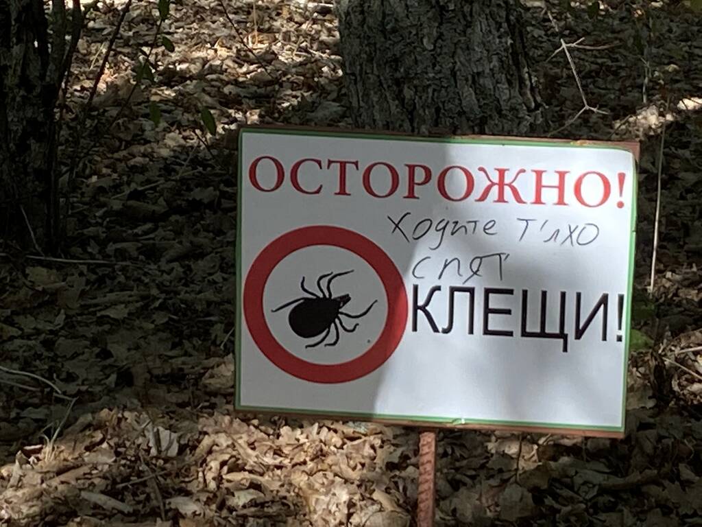 http://upforme.ru/uploads/0001/d0/60/404/841902.jpg