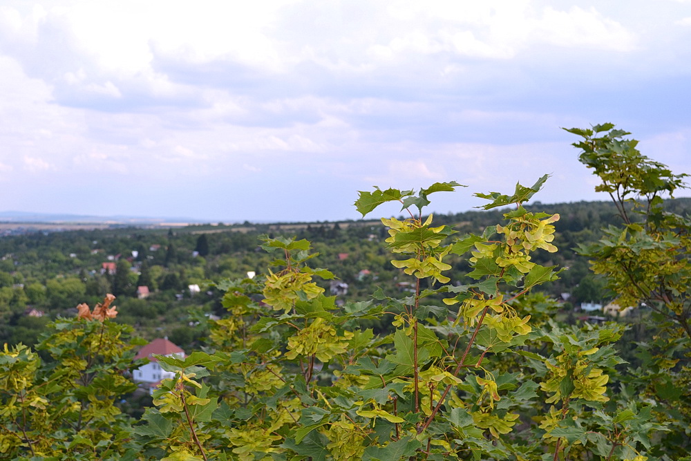 http://upforme.ru/uploads/0001/d0/60/4591/752498.jpg