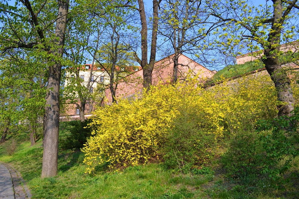 http://upforme.ru/uploads/0001/d0/60/4591/842227.jpg