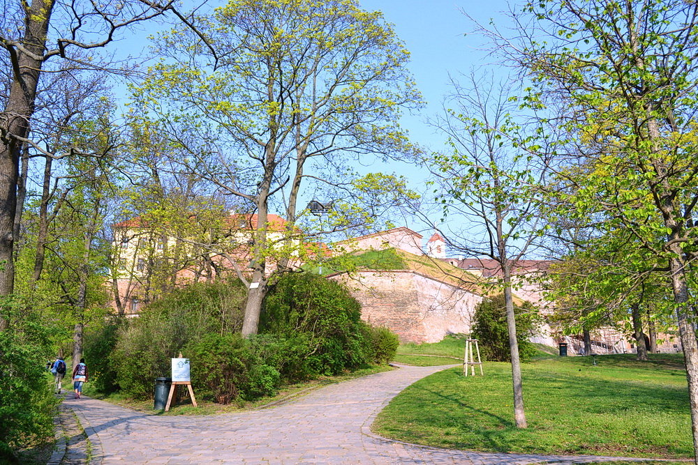 http://upforme.ru/uploads/0001/d0/60/4591/955639.jpg