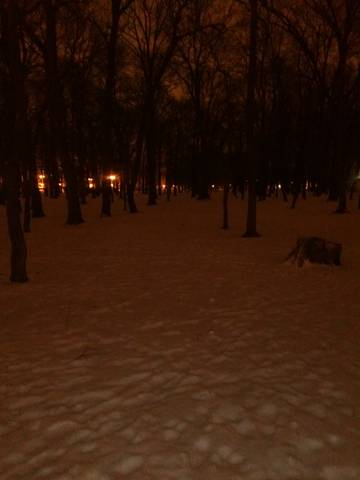 http://upforme.ru/uploads/0001/d1/67/5080/t66690.jpg