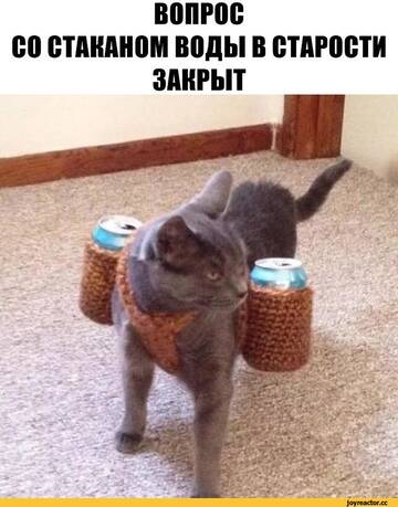 http://upforme.ru/uploads/0001/d1/67/5535/t272938.jpg