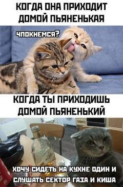 http://upforme.ru/uploads/0001/d1/67/5535/t874212.jpg