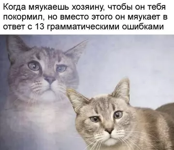 http://upforme.ru/uploads/0001/d1/67/5535/t959625.webp