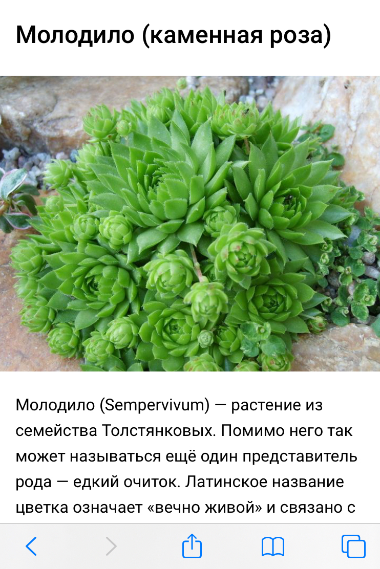 http://upforme.ru/uploads/0001/d1/67/5682/100353.jpg