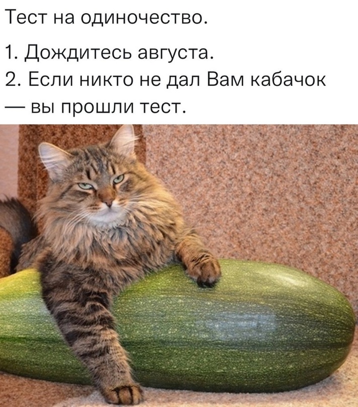 http://upforme.ru/uploads/0001/d1/67/5682/171660.jpg