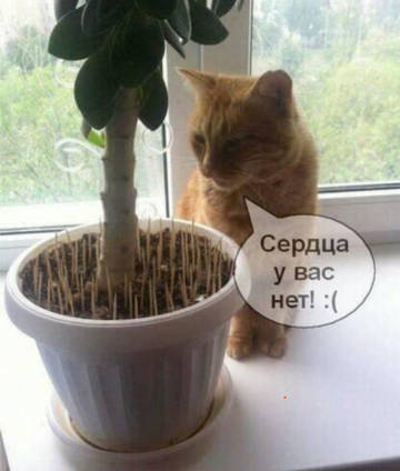http://upforme.ru/uploads/0001/d1/67/5682/t199569.jpg