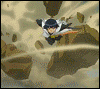 http://upforme.ru/uploads/0001/df/1f/191-2.gif