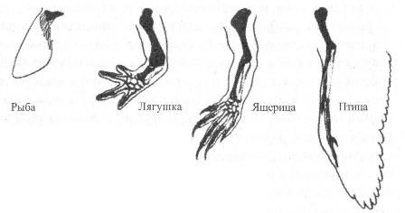 http://upforme.ru/uploads/0001/df/35/12288-1-f.jpg