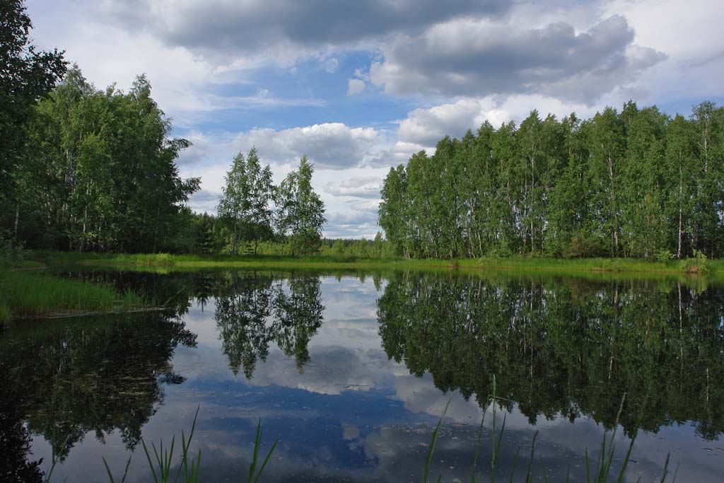 http://upforme.ru/uploads/0001/df/35/18700-3-f.jpg