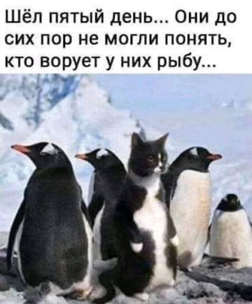 http://upforme.ru/uploads/0001/df/35/2/t684249.jpg