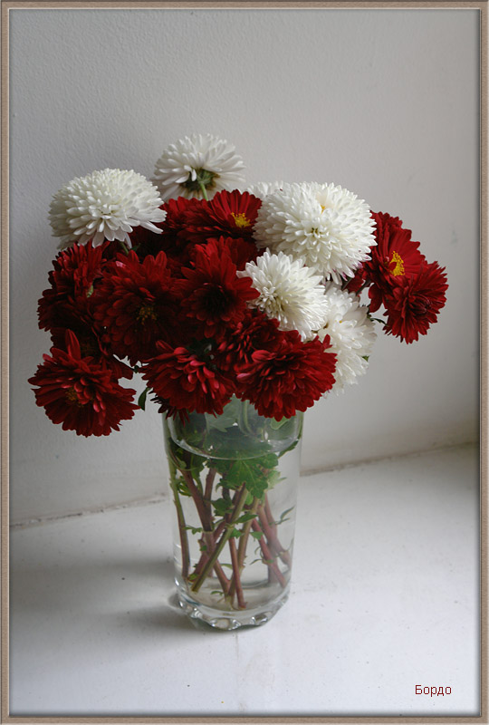 http://upforme.ru/uploads/0001/df/35/21495-1-f.jpg