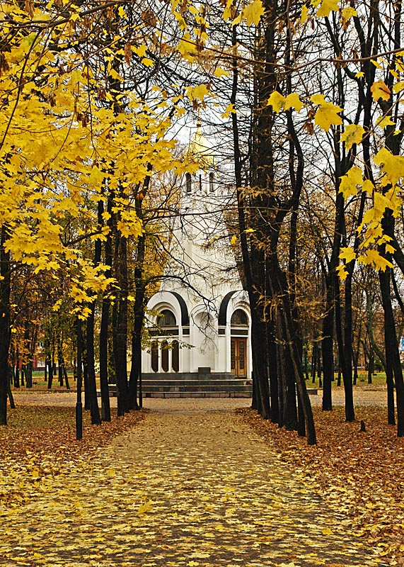 http://upforme.ru/uploads/0001/df/35/22236-1-f.jpg