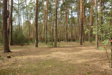 http://upforme.ru/uploads/0001/df/35/3/t300348.jpg