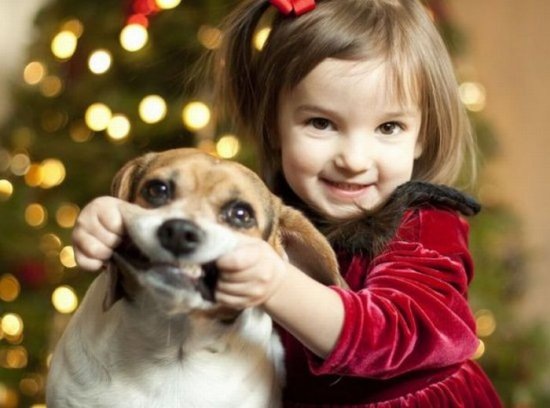 http://upforme.ru/uploads/0001/df/35/41978-1-f.jpg