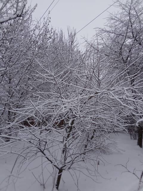 http://upforme.ru/uploads/0001/df/35/5/t763556.jpg