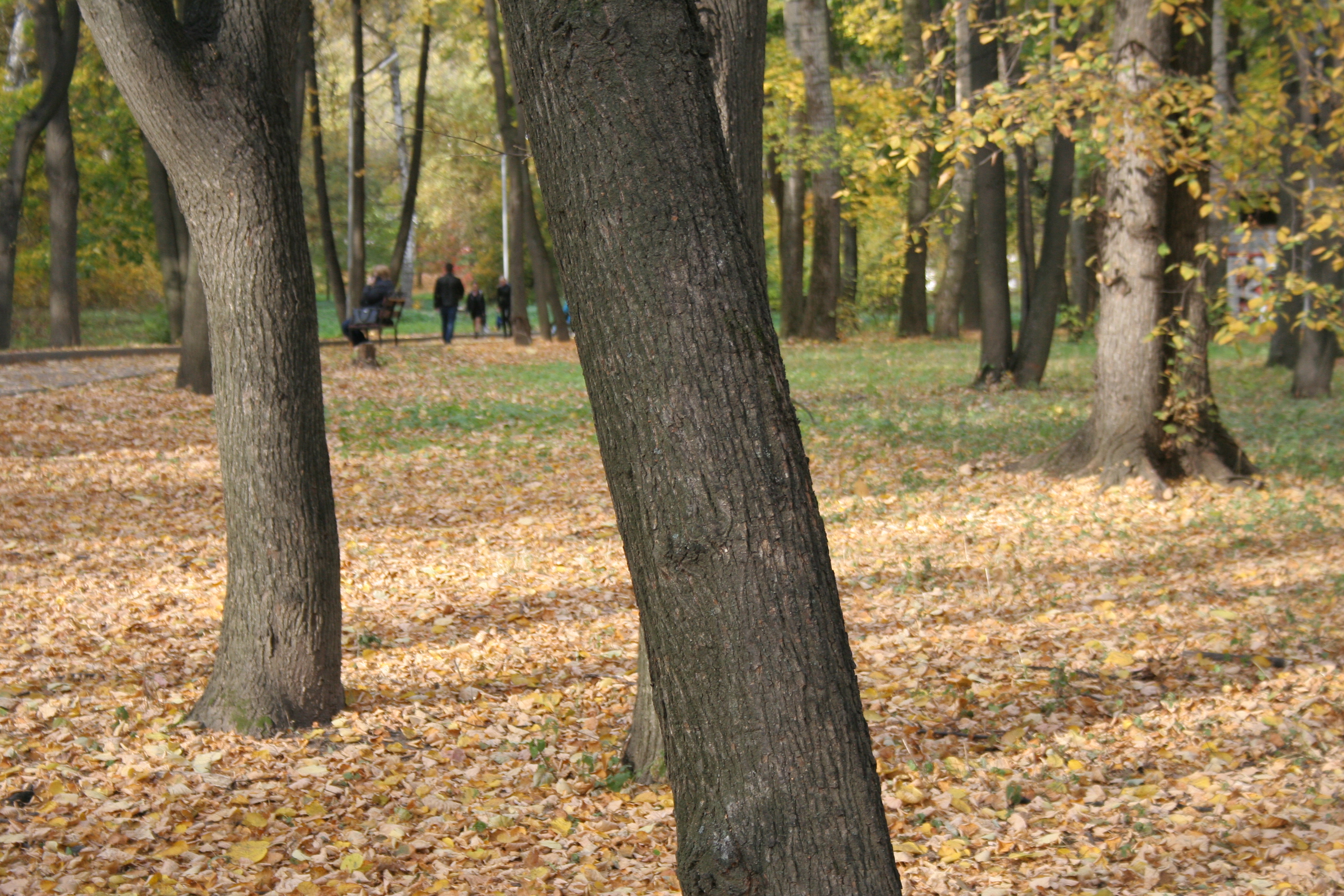 http://upforme.ru/uploads/0001/df/35/7/92071.jpg