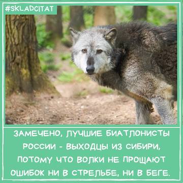 http://upforme.ru/uploads/0001/df/35/7/t14456.jpg