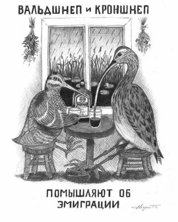 http://upforme.ru/uploads/0001/df/35/7/t209789.jpg
