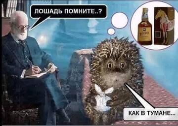 http://upforme.ru/uploads/0001/df/35/7/t231762.jpg