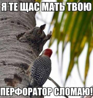 http://upforme.ru/uploads/0001/df/35/7/t464667.jpg