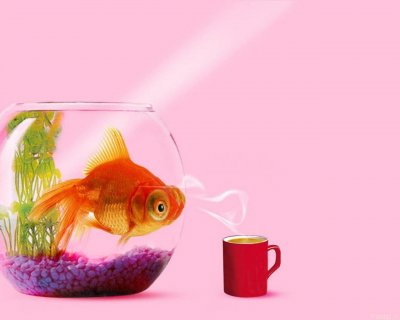 http://upforme.ru/uploads/0001/f1/54/275926-1-f.jpg