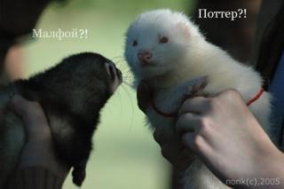 http://upforme.ru/uploads/0001/f4/e1/160-3.jpg