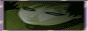 http://upforme.ru/uploads/0001/f5/5f/56-1.gif