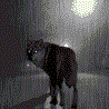 http://upforme.ru/uploads/0002/00/88/473-4.gif